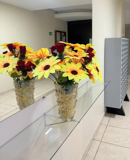 Ape Darcy Ribeiro Apartment Brasilia Bagian luar foto